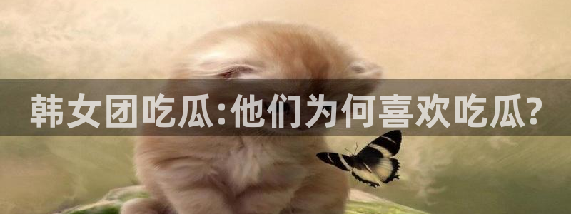 911爆料网红吃瓜:韩女团吃瓜:他们为何喜欢吃瓜?