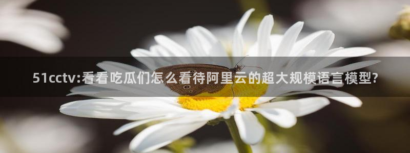 高血糖可以吃籽瓜吗