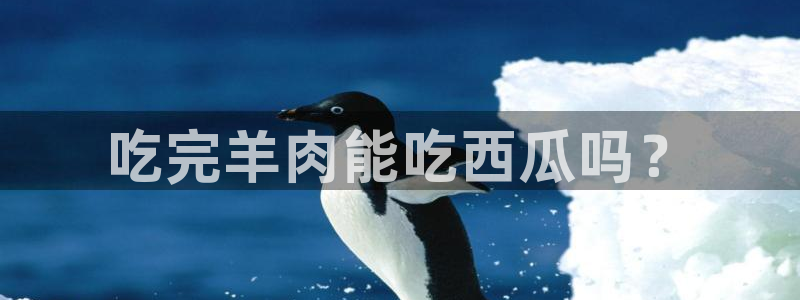 51cg每日吃瓜