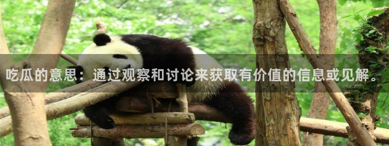 51吃瓜在线今日吃瓜：吃瓜的意思：通过观察和讨论来获取有价值的信息或见解。