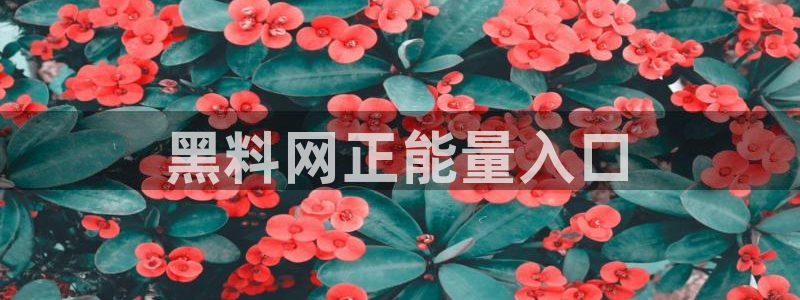 51吃瓜网热门黑料
