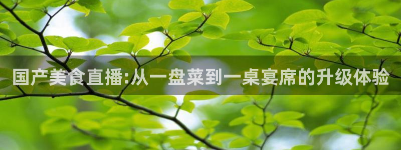 51吃瓜今日吃瓜娜娜：国产美食直播:从一盘菜到一桌宴席的升级体验
