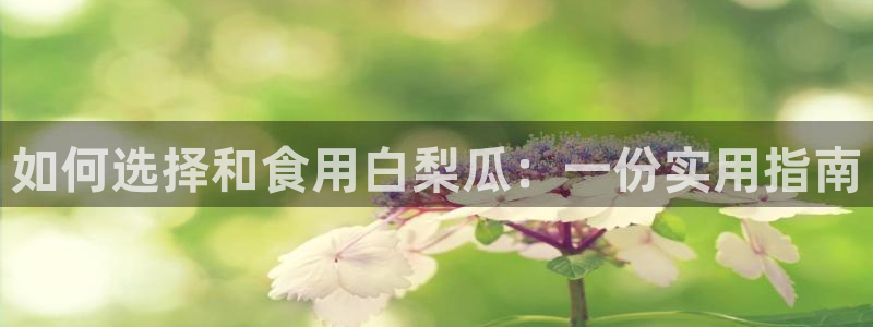 吃瓜爆料网不打烊回家：如何选择和食用白梨瓜：一份实用指南