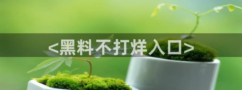 黑料黑料：<黑料不打烊入口>