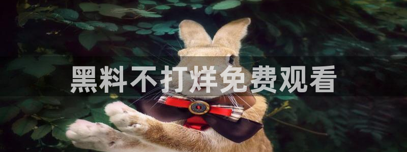 51cg吃瓜网今日吃瓜:黑料不打烊免费观看