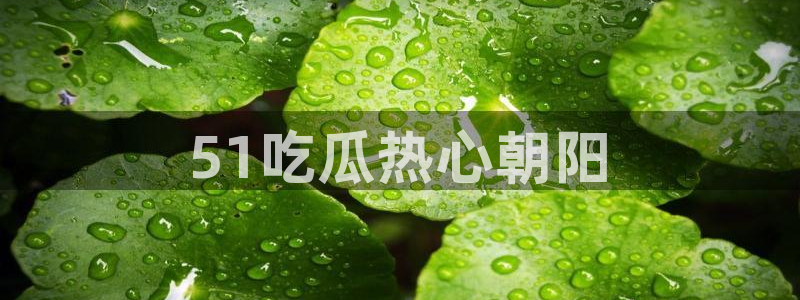 黑料免费：51吃瓜热心朝阳