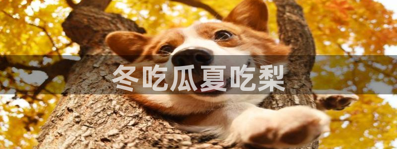 51吃瓜网每日榜单