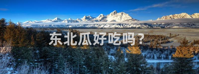 豆瓣自由吃瓜基地：东北瓜好吃吗？