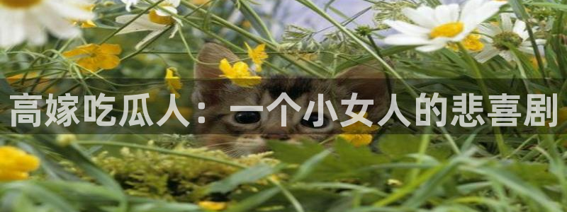 51cg热门大瓜今日吃瓜：高嫁吃瓜人：一个小女人的悲喜剧