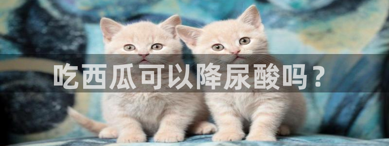 51热门大瓜今日吃瓜：吃西瓜可以降尿酸吗？