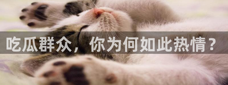51cg吃瓜网今日吃瓜：吃瓜群众，你为何如此热情？