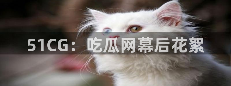 51今日吃瓜热门爆料