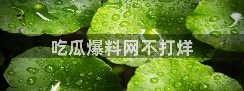 nanataipei51吃瓜：吃瓜爆料网不打烊