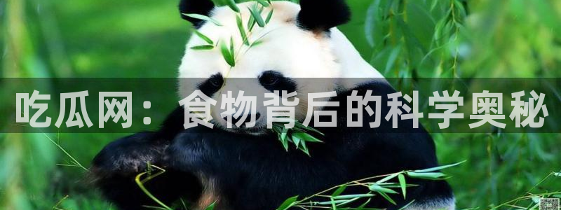 91吃瓜网今日吃瓜入口
