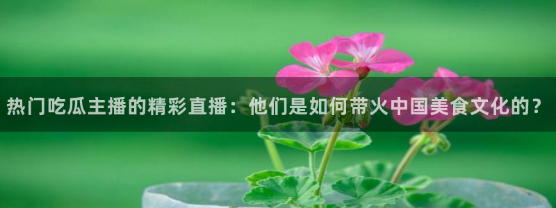 黑料专区:热门吃瓜主播的精彩直播:他们是如何带火中国美食文化的?