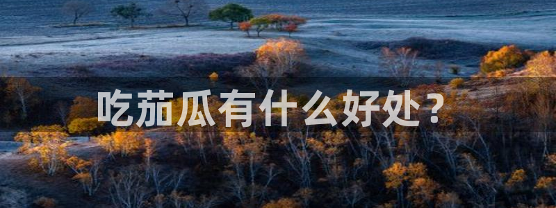 吃小瓜会长胖吗