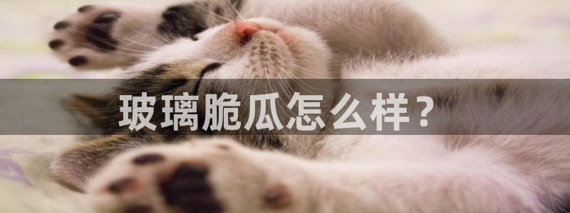 吃瓜吃到自己头上:玻璃脆瓜怎么样?