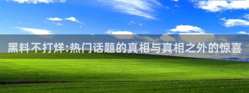 91吃瓜今日吃瓜入口:黑料不打烊:热门话题的真相与真相之外的惊喜