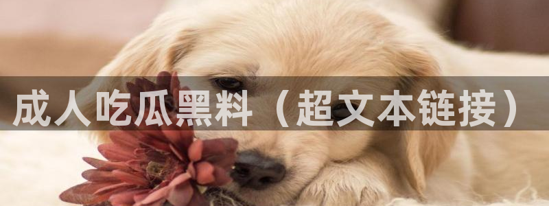 51吃瓜今日大瓜必吃大瓜：成人吃瓜黑料（超文本链接）