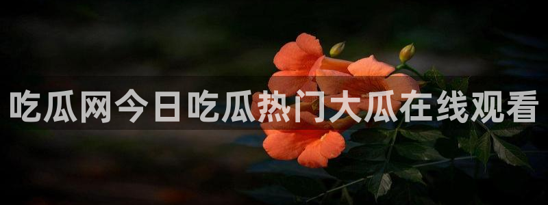 ccgg.mob今日吃瓜:吃瓜网今日吃瓜热门大瓜在线观看