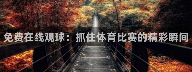 各种网红爆料吃瓜网站：免费在线观球：抓住体育比赛的精彩瞬间